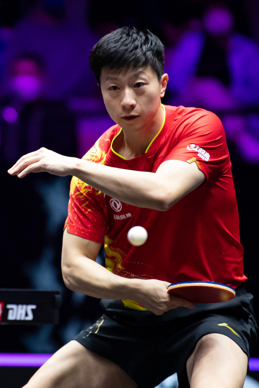 的孩子们来 的孩子们来