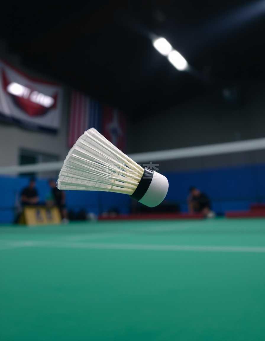 文化适配与 文化适配与